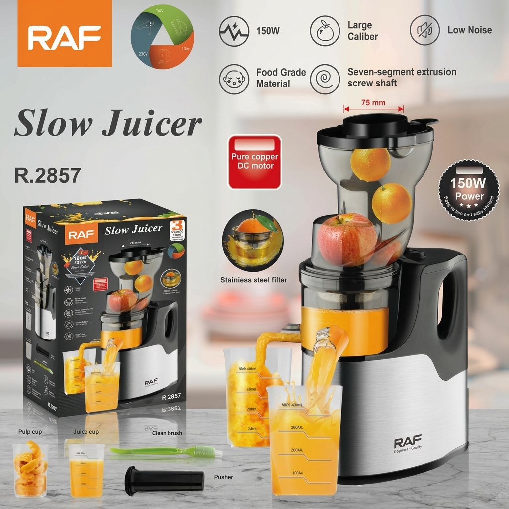 Slow Juicer machine R.2857